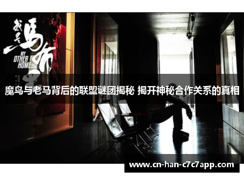 魔鸟与老马背后的联盟谜团揭秘 揭开神秘合作关系的真相